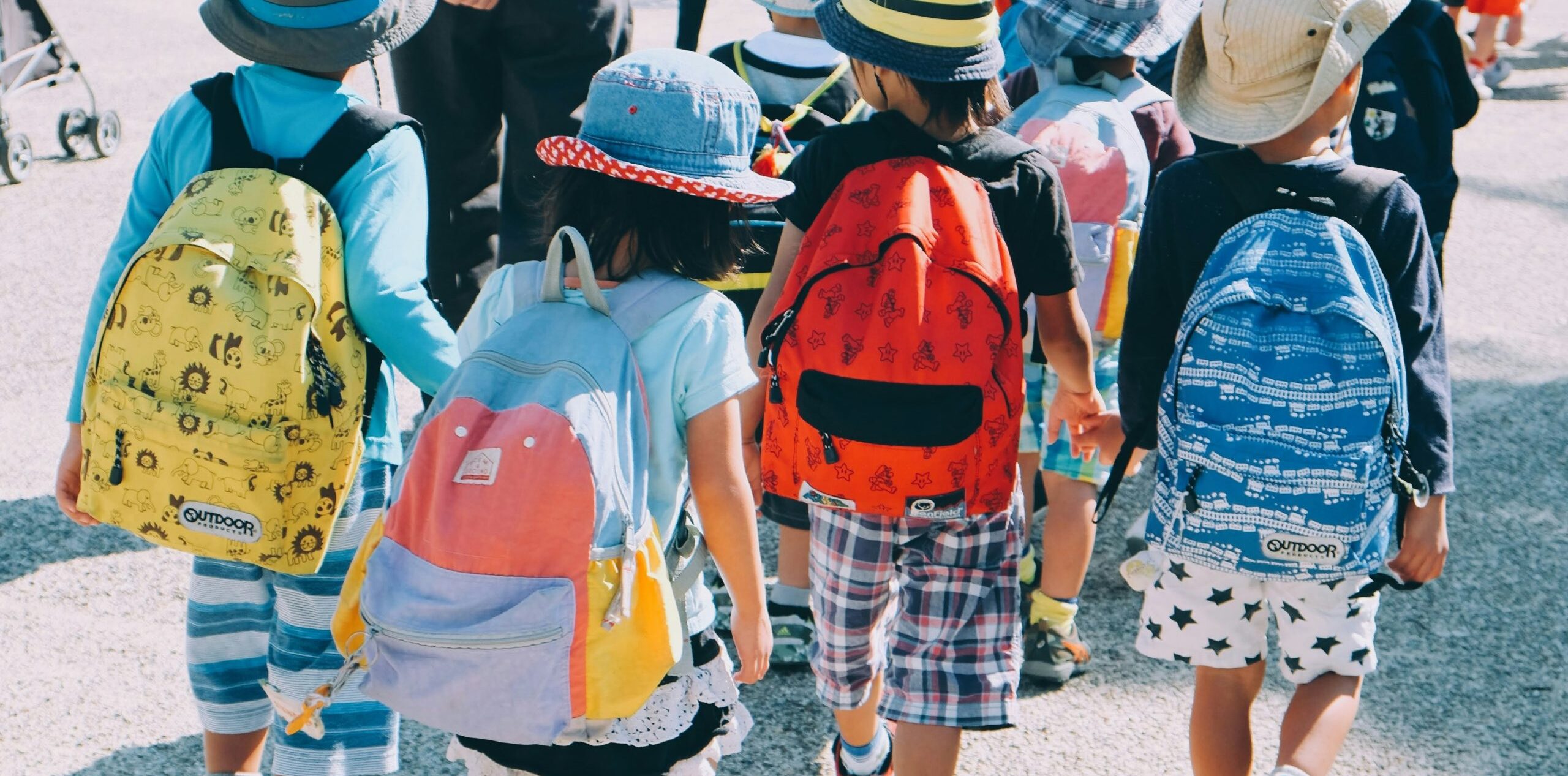 school search services with Steps into Spain